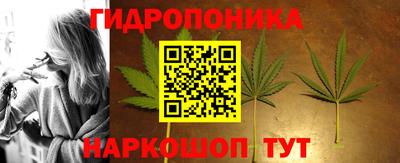 стаф Балаково
