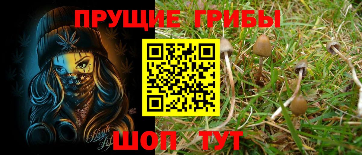 Псилоцибиновые грибы Magic Shrooms  Вход с VPN  Городец 