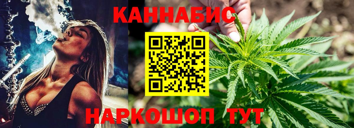 Канабис сатива Городец